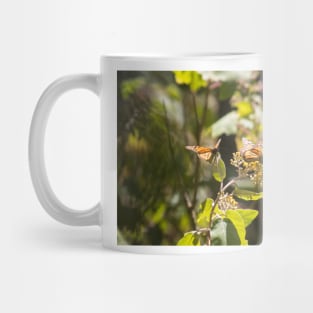 Monarchs of Mexico III Mug